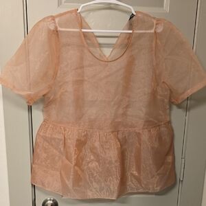 Sunday in Brooklyn Sheer Pink Blouse